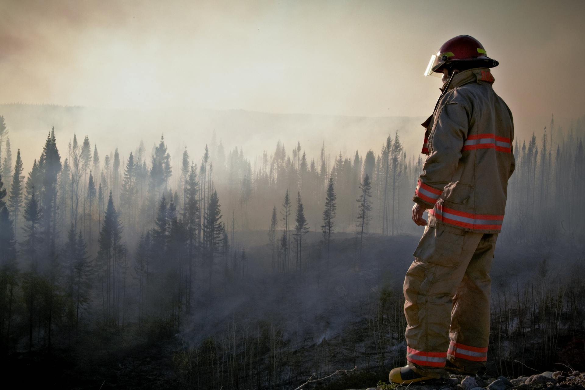 Bombero en el monte